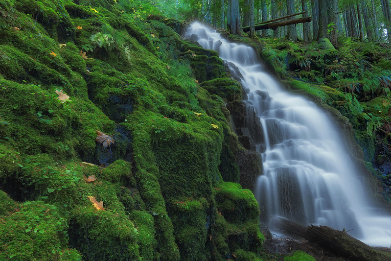 Huge Underground Aquifer Discovered Beneath Oregon’s Cascade Mountains